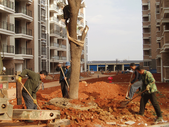 上饒房地產(chǎn)