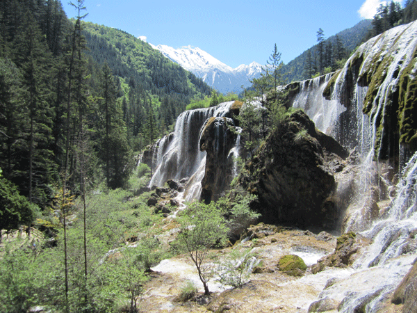 上饒房地產(chǎn)