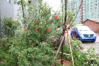 上饒房地產(chǎn)